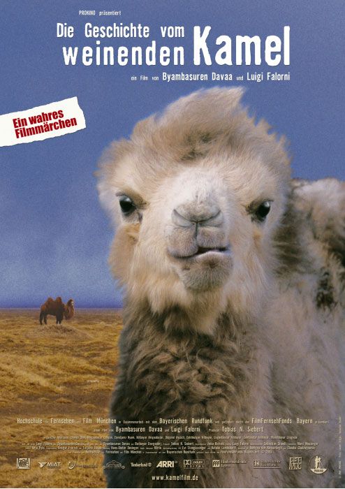 story_of_the_weeping_camel