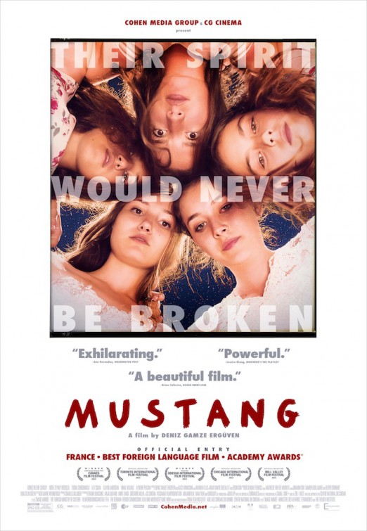 mustang_ver2