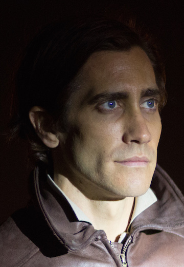 gyllenhaal