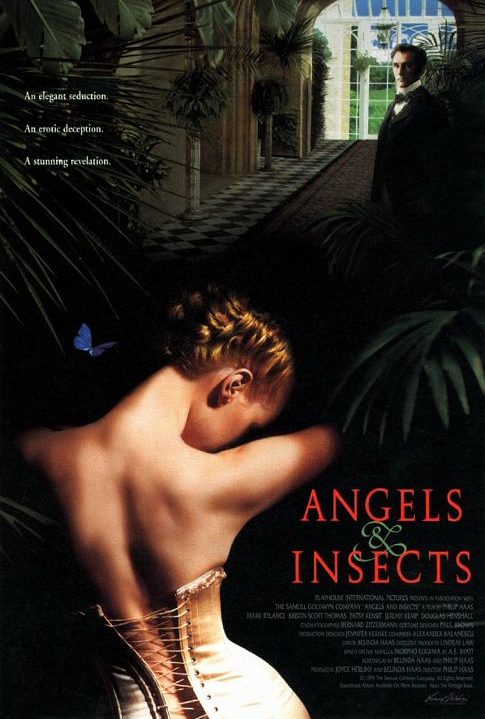 angels_and_insects