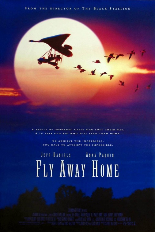 fly_away_home