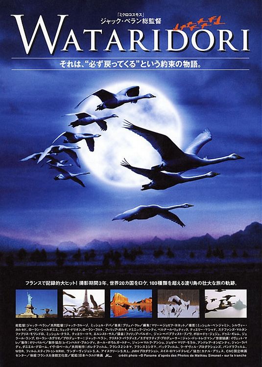 winged_migration_ver3