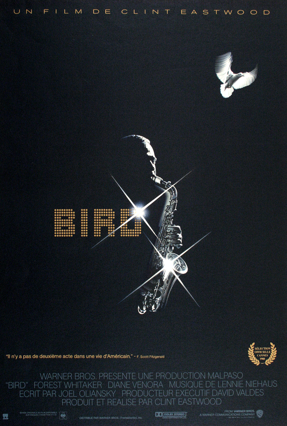bird