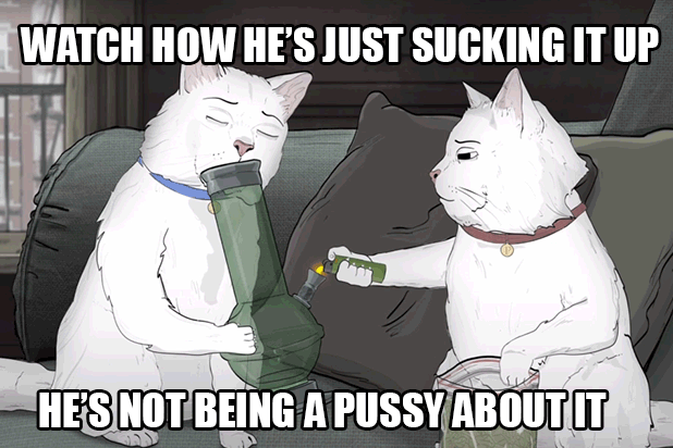 animals-cats