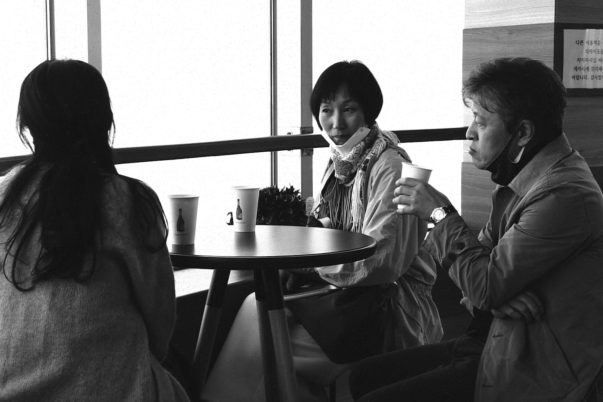 The Novelist's Film
