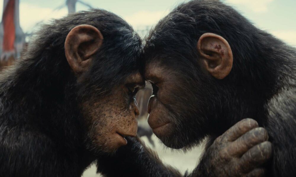 Kingdom of the Planet of the Apes