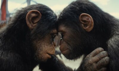 Kingdom of the Planet of the Apes