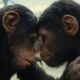 Kingdom of the Planet of the Apes
