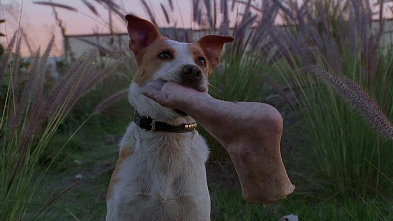 Six Feet Under